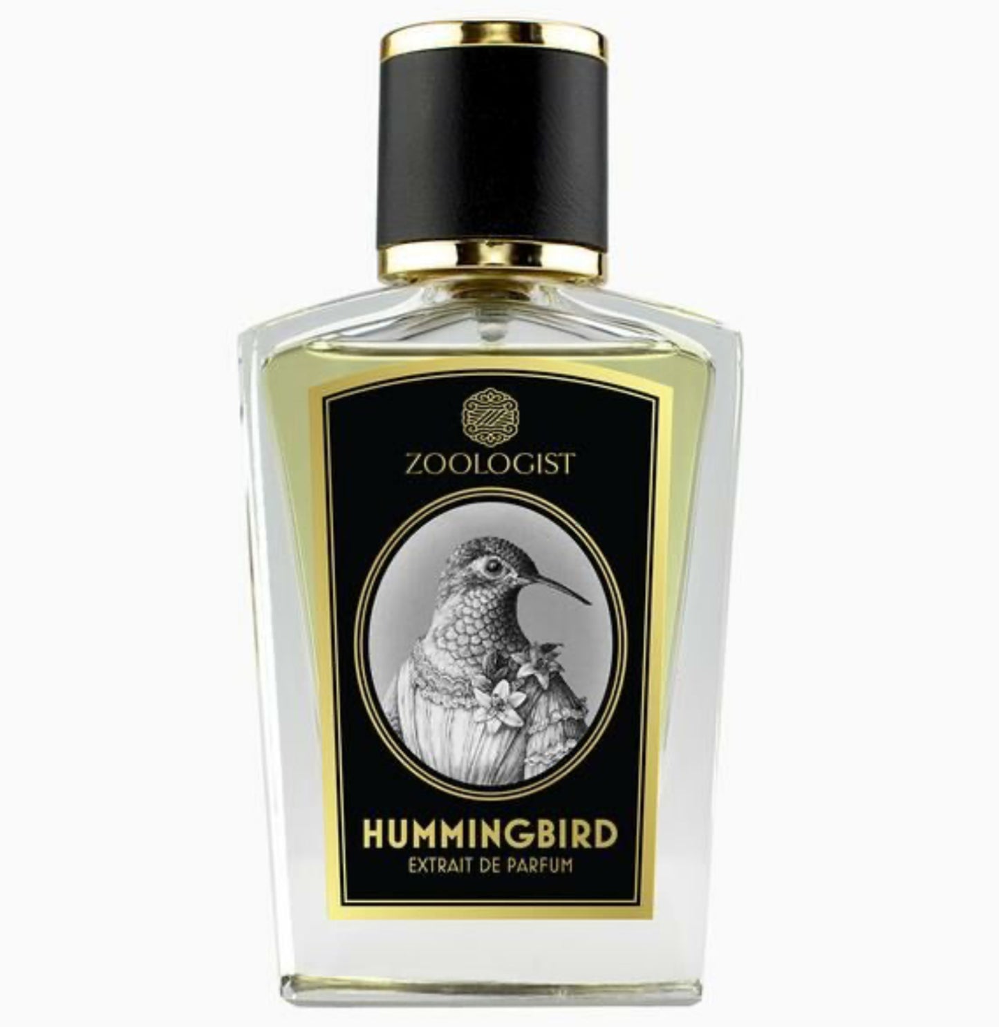 Zoologist - Hummingbird